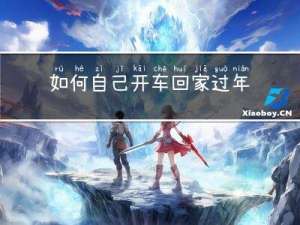 如何自己开车回家过年假