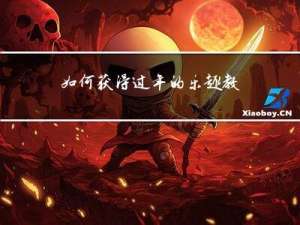 如何获得过年的乐趣教案