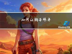 如何让狗子拜年