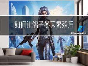 如何让鸽子冬天繁殖后代