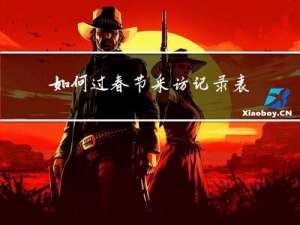 如何过春节采访记录表