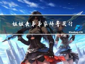 姐姐去弟弟家拜年买什么