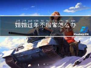 姐姐过年不回家怎么办作文