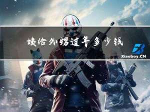 姨给外甥过年多少钱
