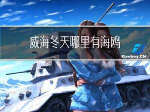 威海冬天哪里有海鸥