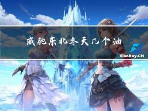 威驰东北冬天几个油