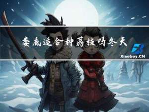 娄底适合种荔枝吗冬天