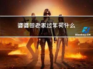 婆婆回老家过年买什么