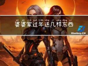 婆婆家过年送几样东西给我
