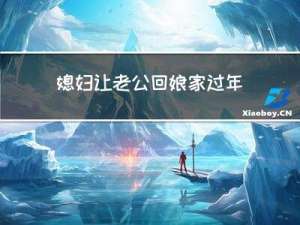 媳妇让老公回娘家过年好吗