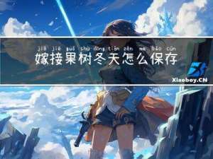 嫁接果树冬天怎么保存
