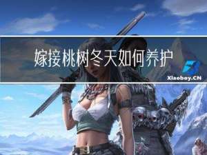 嫁接桃树冬天如何养护视频