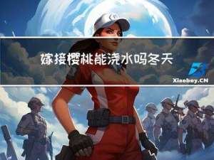嫁接樱桃能浇水吗冬天