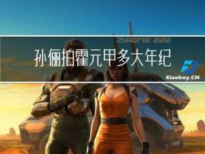 孙俪拍霍元甲多大年纪