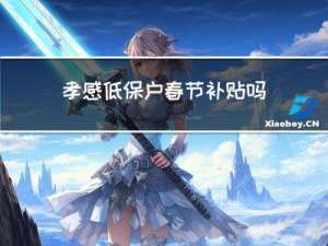 孝感低保户春节补贴吗
