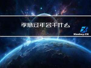 孝感过年会干什么