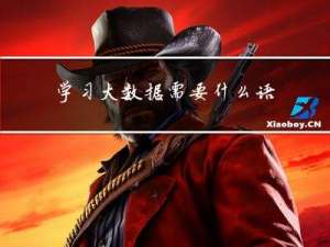 学习大数据需要什么语言基础