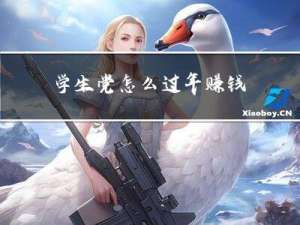 学生党怎么过年赚钱