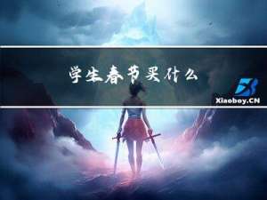 学生春节买什么