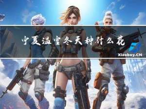 宁夏温室冬天种什么花