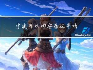 宁波可以回安康过年吗现在