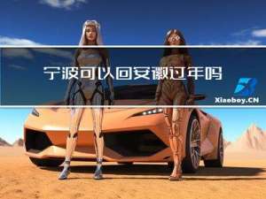 宁波可以回安徽过年吗现在