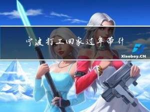 宁波打工回家过年带什么