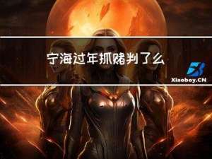 宁海过年抓赌判了么