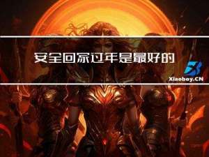 安全回家过年是最好的吗