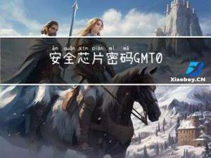 安全芯片密码GMT0008-2012