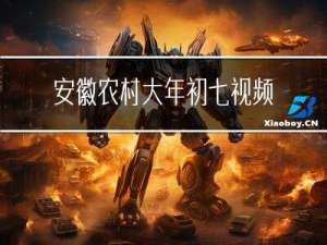 安徽农村大年初七视频介绍