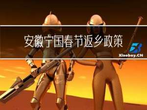 安徽宁国春节返乡政策最新