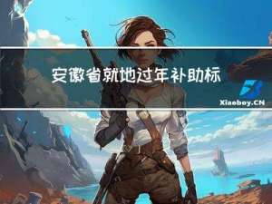 安徽省就地过年补助标准