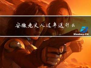 安徽老丈人过年送什么礼物