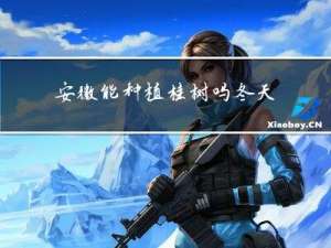 安徽能种植桂树吗冬天