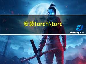 安装torch\\torch-geometric