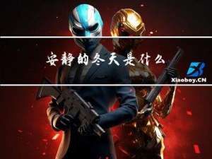安静的冬天是什么