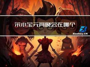 宋小宝元宵晚会在哪个台
