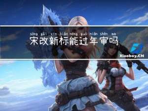 宋改新标能过年审吗