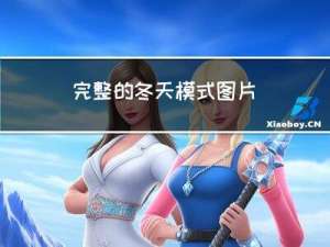 完整的冬天模式图片