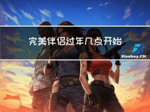 完美伴侣过年几点开始播放