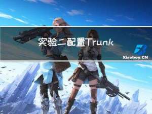 实验二 配置Trunk和链路汇聚