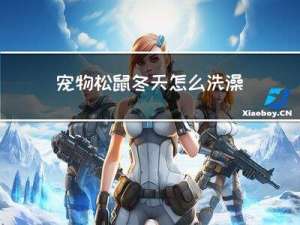 宠物松鼠冬天怎么洗澡