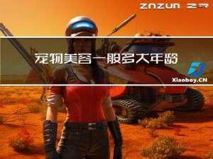 宠物美容一般多大年龄