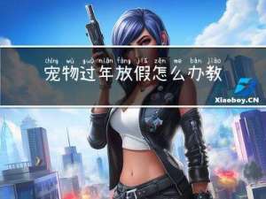 宠物过年放假怎么办教案