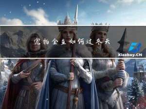 宠物金鱼如何过冬天