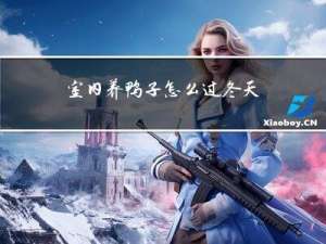 室内养鸭子怎么过冬天