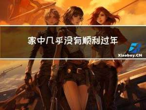 家中几乎没有顺利过年