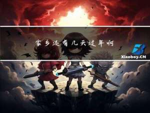 家乡还有几天过年啊