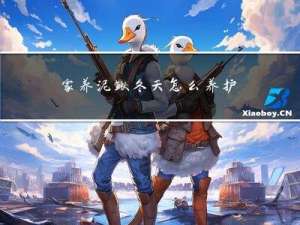 家养泥鳅冬天怎么养护